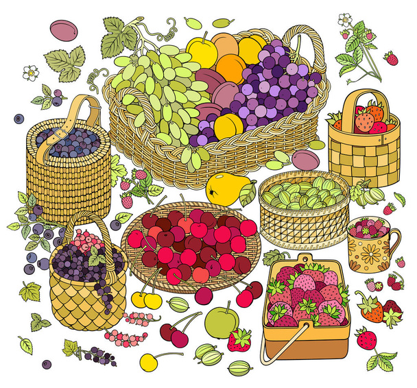 Beaucoup de fruits et de baies dans des paniers - Vecteur, image