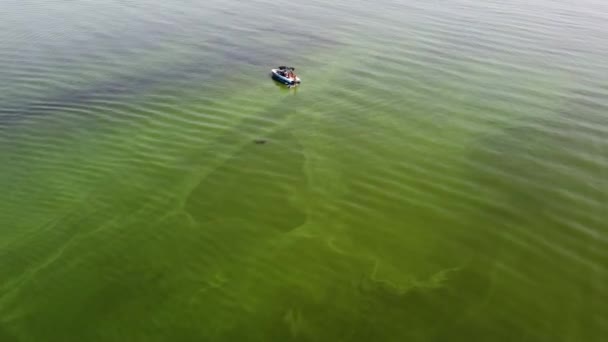 Una barca da wakeboard solitaria in mezzo all'acqua verde - Filmati, video