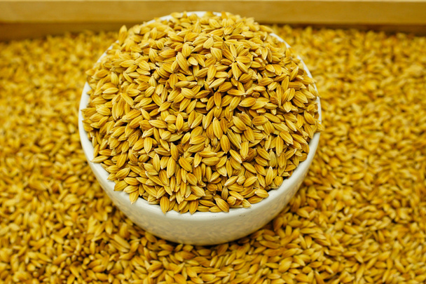 рису насіння
 - Фото, зображення
