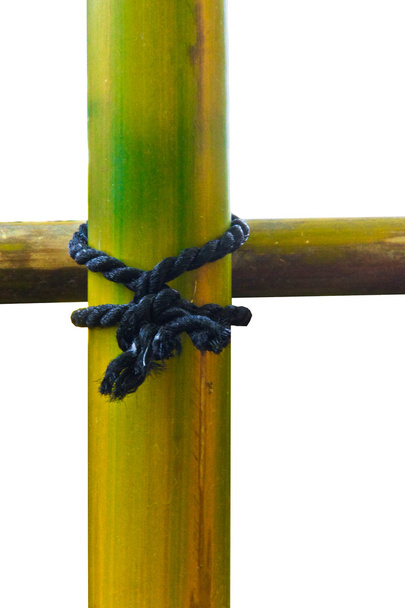 Bambu Ligado com cordas
. - Foto, Imagem