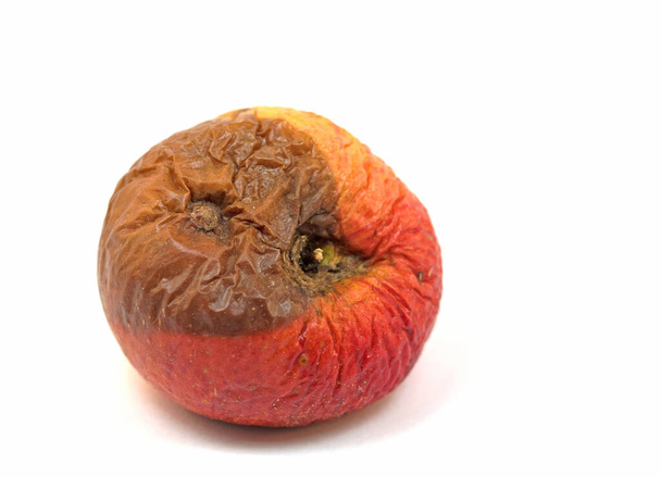 Rotting apple isolated against a white background - Photo, Image