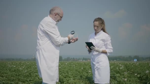 Mezőgazdasági területet kutató tudósok - Felvétel, videó