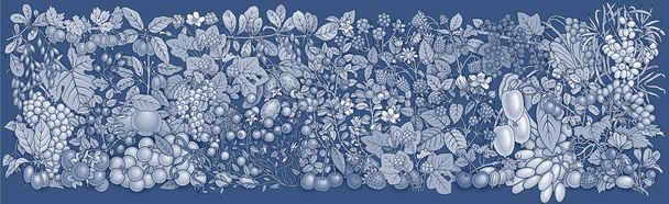 Berries, fruits hand drawn vector doodles banner - Vector, Image