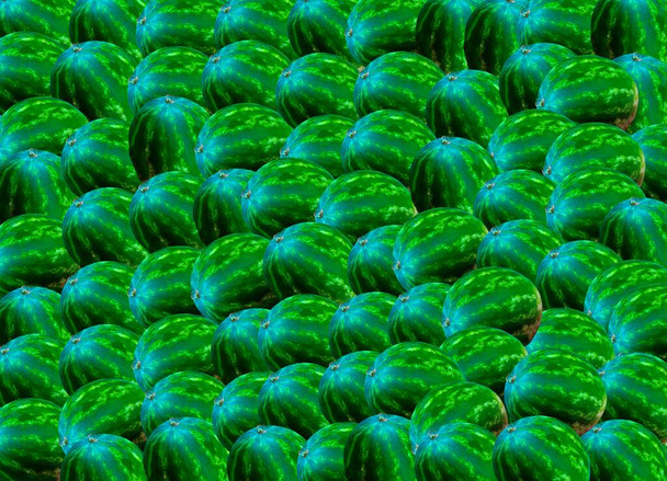 Ripe full watermelons summer background - Photo, Image