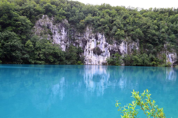 lago turchese di fronte alle rocce nella foresta di Plitvice Riserva Naturale - Foto, immagini