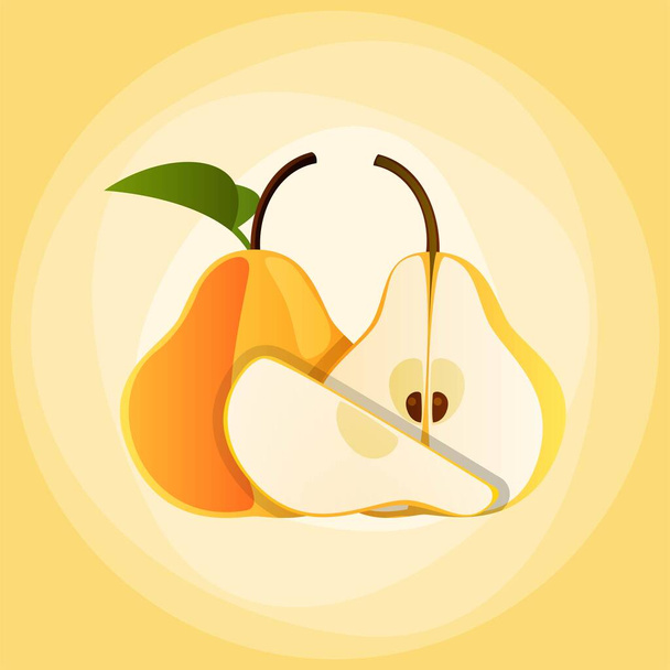 Bright vector illustration of colorful half pear - Vektor, obrázek