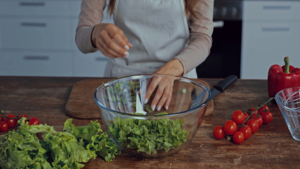 cropped view of woman putting lettuce in bowl  - Footage, Video