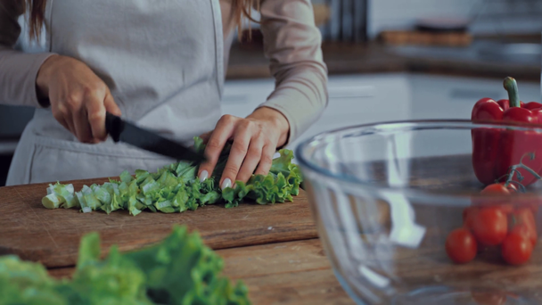 vágott kilátás nő vágás zöld saláta vágódeszka - Felvétel, videó