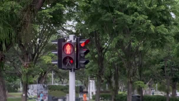 Światła drogowe z pieszych czerwony obracając się na zielony - Materiał filmowy, wideo