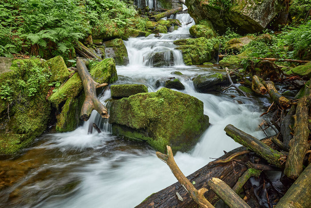Relaxing calm stream of mountain creek. Marvelous Voievodyn river at summertime, Zakarpatska Oblast Ukrainian Transcarpathia, Carpathian Mountains - Photo, Image