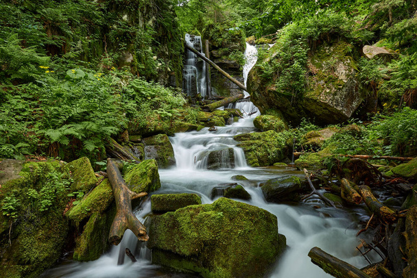 美しい風景は魔法のカルパチアの森の緑の中でvoievodyn川と偉大な滝の静かな流れ。Voievodyn川,ソコロヴィ・スケリ保護区,ザカルパティア(トランスカルパティア),ウクライナ - 写真・画像