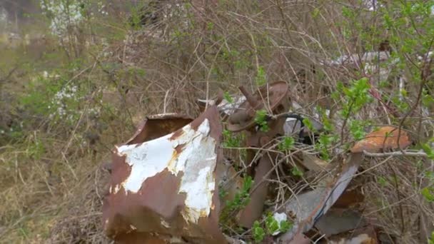 CLOSE UP: Wild shrubs grow over the rusting frame of abandoned vintage vehicle. - Footage, Video