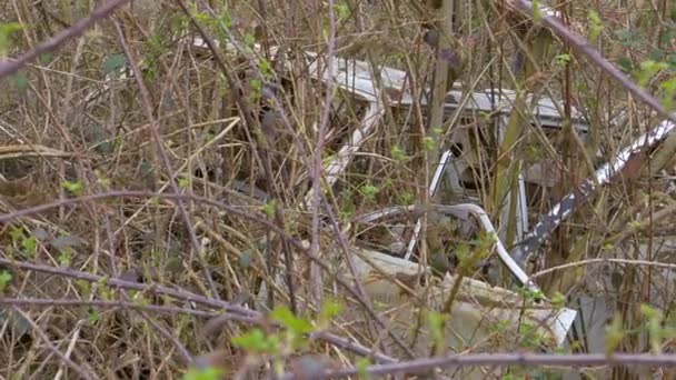Nah dran: Wildes Gebüsch überwuchert ein in der Landschaft liegendes Oldtimer-Fahrzeug. - Filmmaterial, Video
