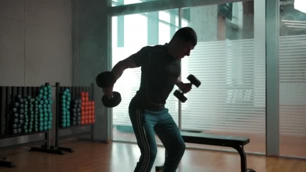 Muscular male hardly working out with heavy dumbbells - Footage, Video
