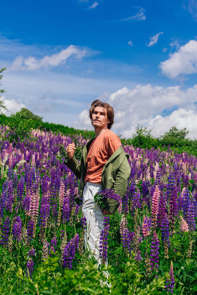 Tall handsome man in a green jacket standing on lupine flowers field with lupin flowers in his pocket, enjoing the beauty of nature. Man surrounded by purple and pink lupines. - Foto, Imagem