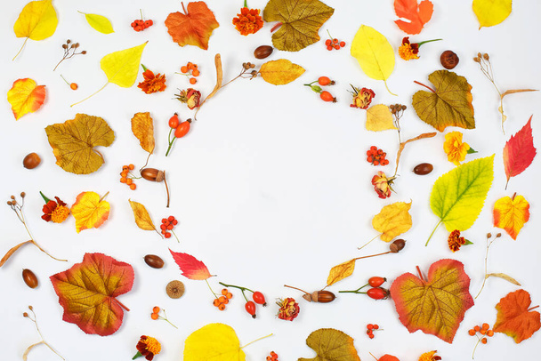 秋の構図。ドライフラワーと紅葉のフレーム。秋、秋の概念。フラットレイアウト、トップビュー、コピースペース - 写真・画像