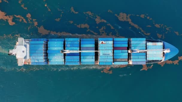 4K luchtfoto drone beelden van grote blauwe container schip op de oceaan, top down zicht. - Video