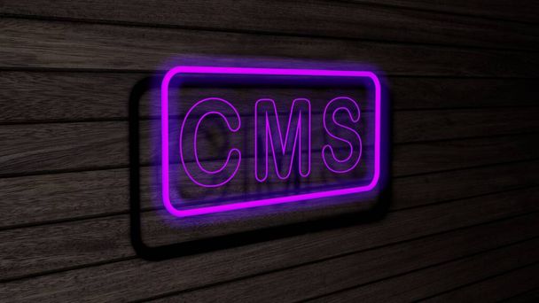 CMS couleur pourpre néon tubes fluorescents signes sur le mur en bois. rendu 3D, illustration, affiche, bannière. Inscription, concept sur fond de mur en bois gris. - Photo, image