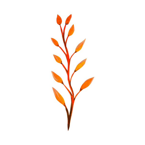 Branch with yellow and orange leaves. Watercolor hand drawn floral element for design. - Φωτογραφία, εικόνα