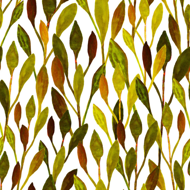 Leaves on a white background. Watercolor seamless pattern. Design for cloth, print, card, wrapping. - Φωτογραφία, εικόνα