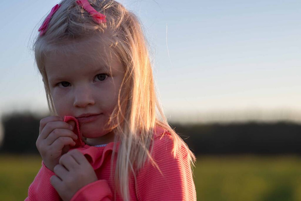 Sonbahar doğasında küçük şirin bir kızın portresi. - Fotoğraf, Görsel