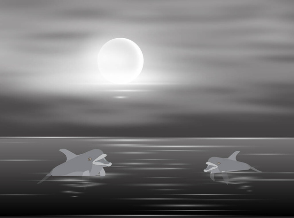 Two dolphins swim in the water in the moonlight, vector illustration - Vector, Image