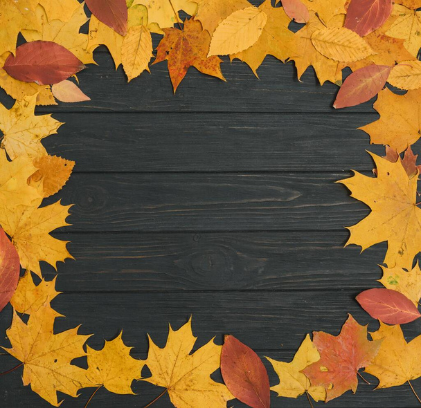 Autumn Leaves over wooden background.With copy space - Zdjęcie, obraz