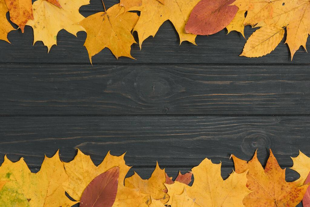 Autumn Leaves over wooden background.With copy space - 写真・画像