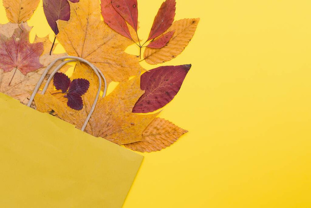 craft shopping bags surrounded by yellow and orange fallen autumn leaves, the concept of autumn discounts and sales - Foto, imagen
