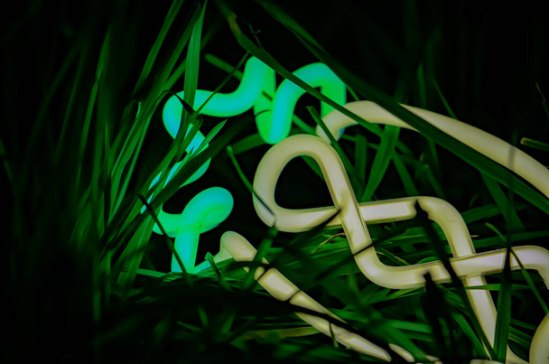 草の植物の背景を持つネオンサボテンの光写真の閉鎖豊かな砂漠の熱帯波のロゴの背景デザイン - 写真・画像