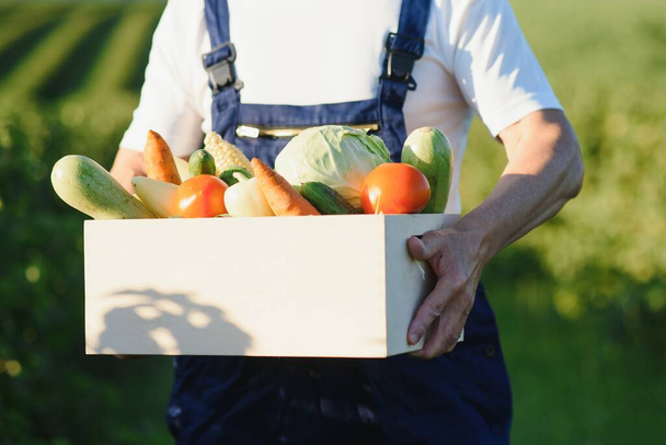 Close up of box with vegetables in hands of mature man - Fotografie, Obrázek