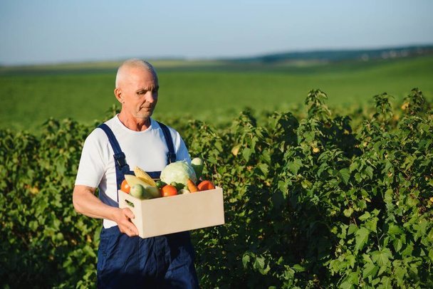 Close up of box with vegetables in hands of mature man - 写真・画像
