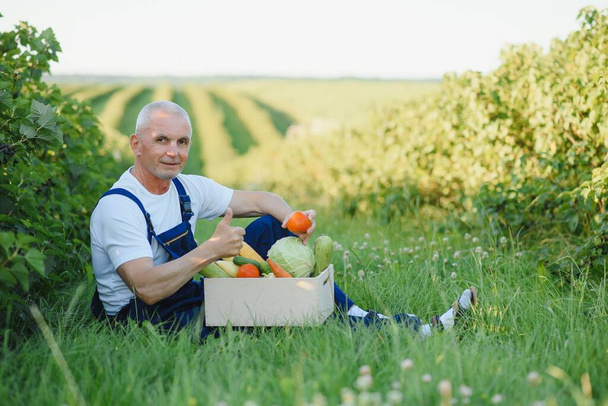 Man with wooden box of vegetables in field. Farming - Fotoğraf, Görsel