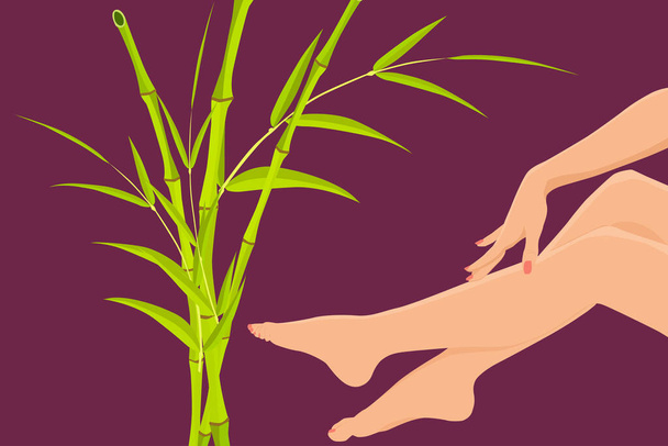 赤い爪を持つ女性の足と手は、竹の植物と濃い紫色の背景に絵を磨く。テキストやデザインのためのコピースペースを持つ女性の足。ペディキュアと美容のコンセプト。平面ベクトル図 - ベクター画像