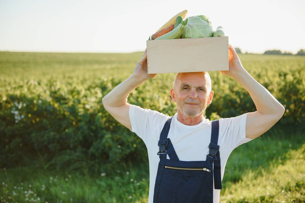 Senior man lifting box full of seasonal vegetables. The concept of healthy eating - Valokuva, kuva