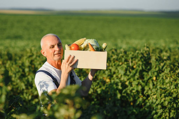 farmer carrying box of picked vegetables - Foto, imagen