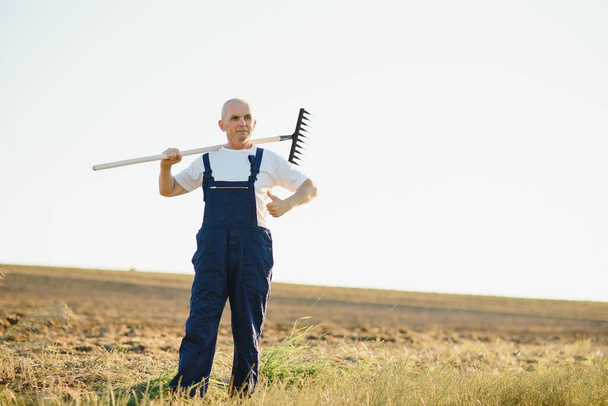 Senior farmer in a field. Agriculture concept - Photo, Image