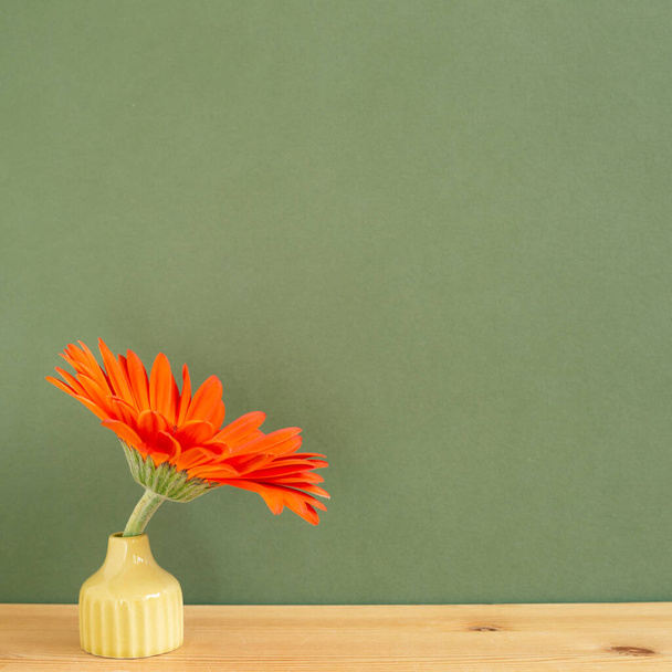 Orange gerbera flower in vase on wooden table with khaki background. Floral composition, copy space - Photo, Image