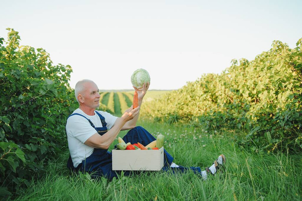 Senior man lifting box full of seasonal vegetables. The concept of healthy eating - Fotografie, Obrázek