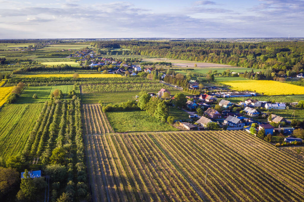 Vista de drones de campos em torno da aldeia de Rogow, província de Lodz, Polônia
 - Foto, Imagem