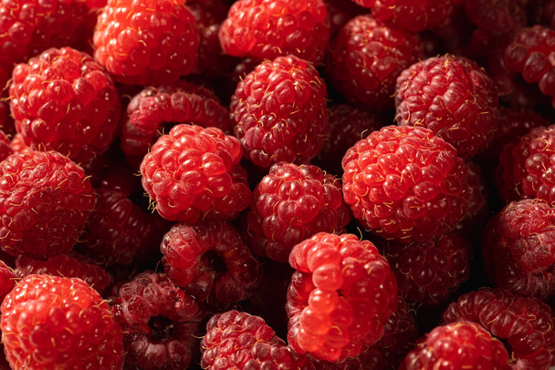Tuoreet punaiset vadelmahedelmät luonnonmukaisina ja vitamiinipitoisina elintarvikkeina, lähikuva - Valokuva, kuva