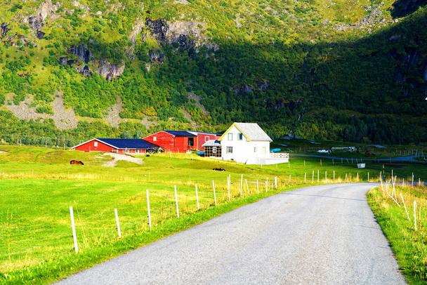 Mała farma na wyspach Lofoten o świcie lata. Lofoty są popularnym miejscem turystycznym i nadal zyskuje popularność wśród turystów z całego świata. - Zdjęcie, obraz