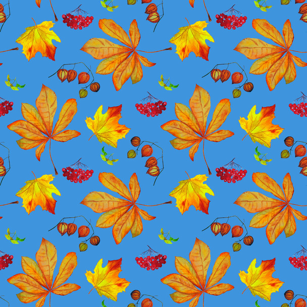 Watercolor seamless pattern with autumn set. Maple. Rowan. Physalis. Chestnut. Beautiful autumn print for any kind of a design. - Фото, изображение