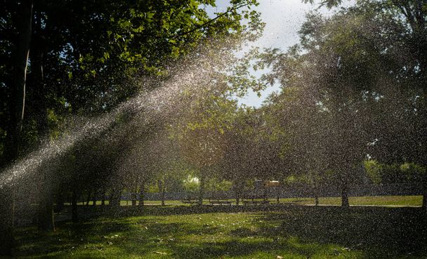 aspersores regar grama em um dia ensolarado parque
 - Foto, Imagem