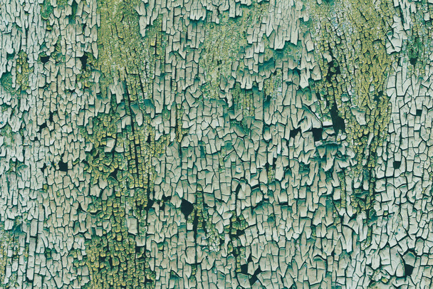  superficie metálica oxidada con escamas de pintura verde azul y textura de agrietamiento
. - Foto, imagen