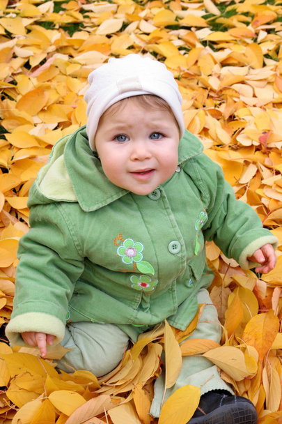 Baby at a park in Autumn - Foto, afbeelding