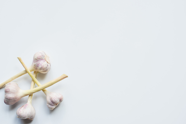 top view of ripe whole garlic on white background - 写真・画像