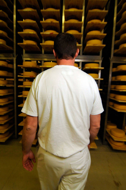 maître fromager dans la production alimentaire industrielle marche à travers une salle de pains de fromage - Photo, image