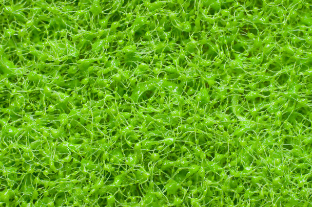 obrázek s vysokým rozlišením umělý trávník, zelené trávy - Fotografie, Obrázek