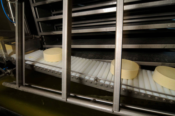 rolo de queijo em uma correia transportadora na produção industrial de queijo e alimentos
 - Foto, Imagem